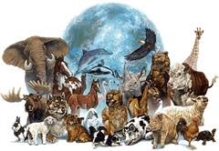 Всемирный день животных